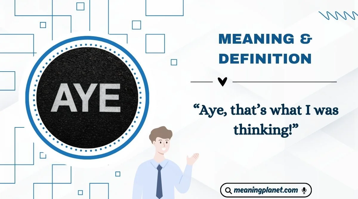 Meaning & Definition