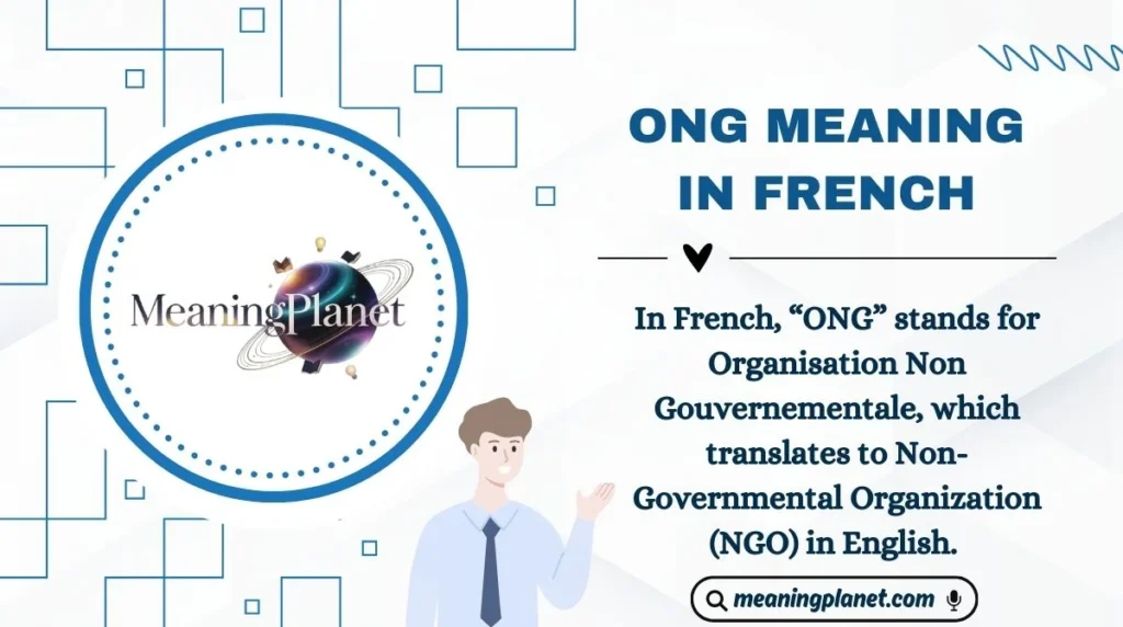 ONG Meaning in French