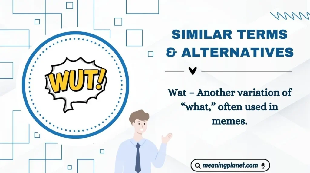 Similar Terms & Alternatives