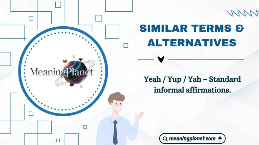 Similar Terms & Alternatives