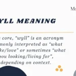 Wyll Meaning